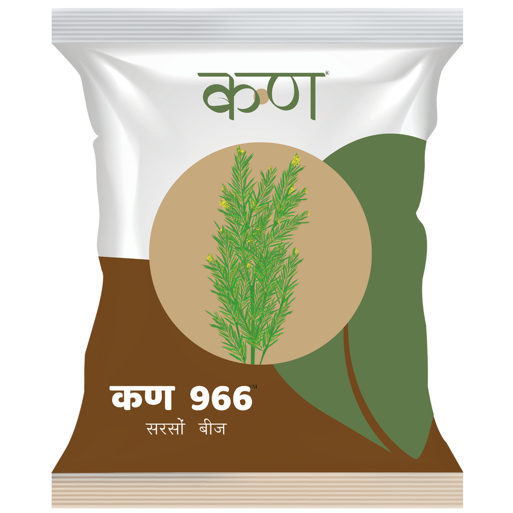 कण 966 हाइब्रिड सरसों बीज