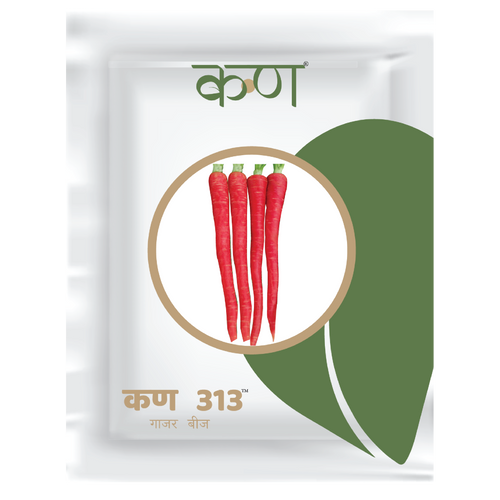 Kern 313 Desi Red Carrot