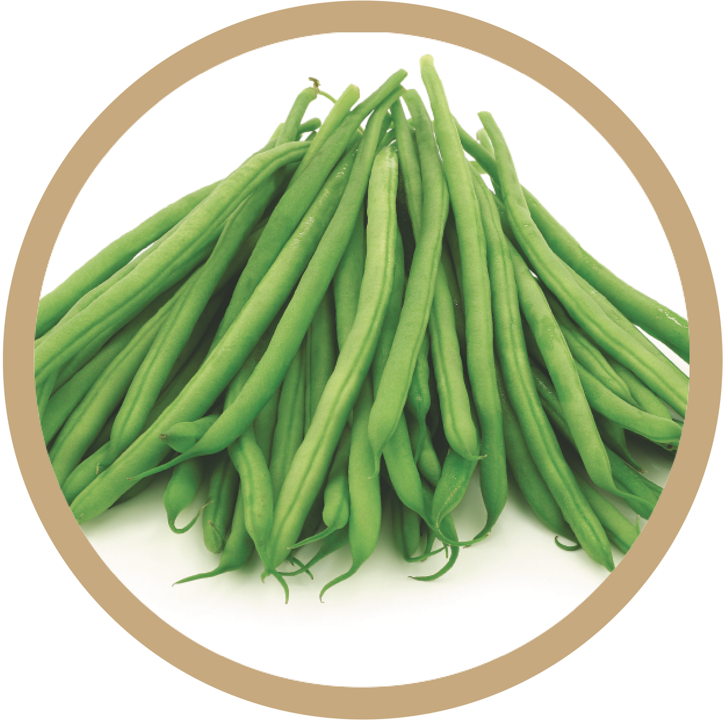 Kern 474 French Beans