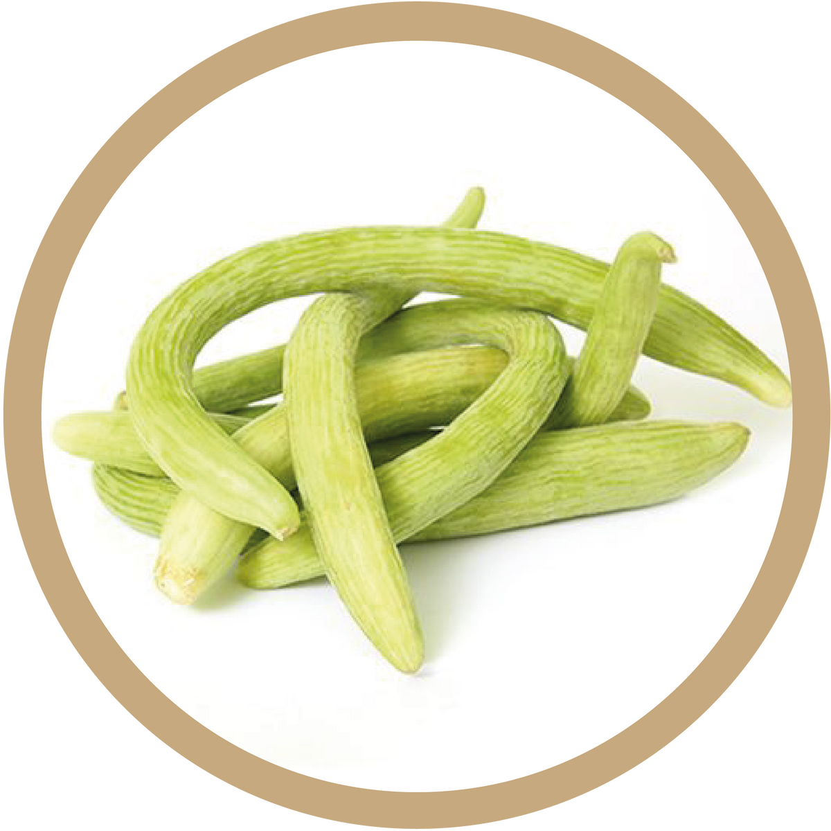 Kern 666 Long Melon
