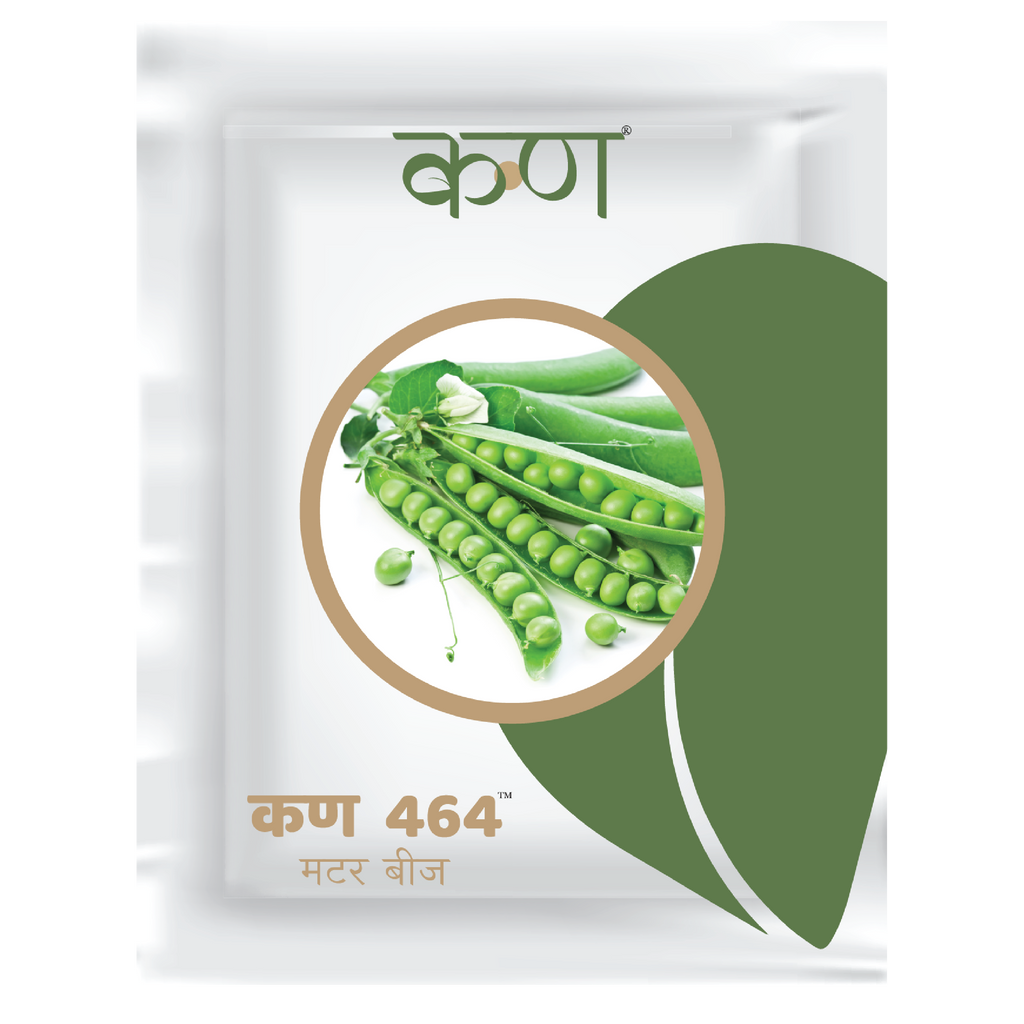 Kern 464 Peas