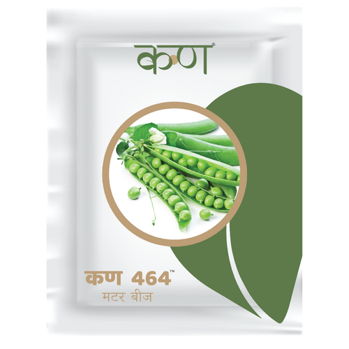 Kern 464 Peas