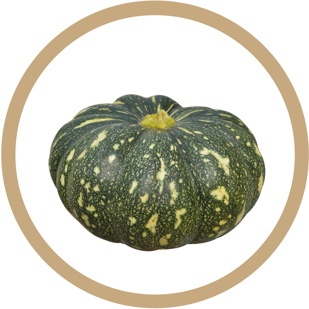 Kern 455 F1 Pumpkin