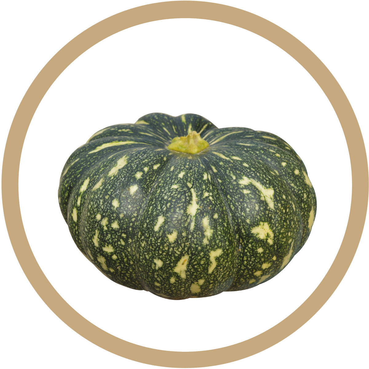 Kern 455 F1 Pumpkin