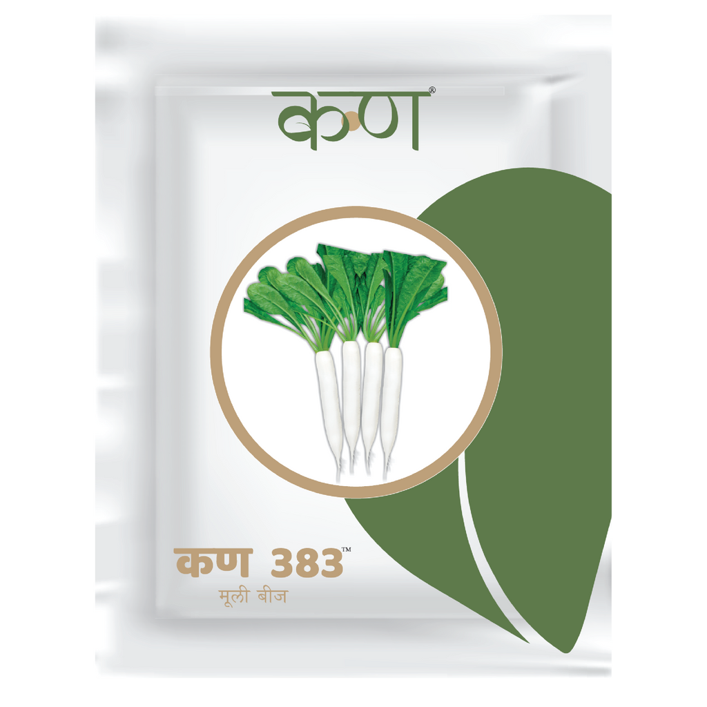 Kern 383 OP Radish