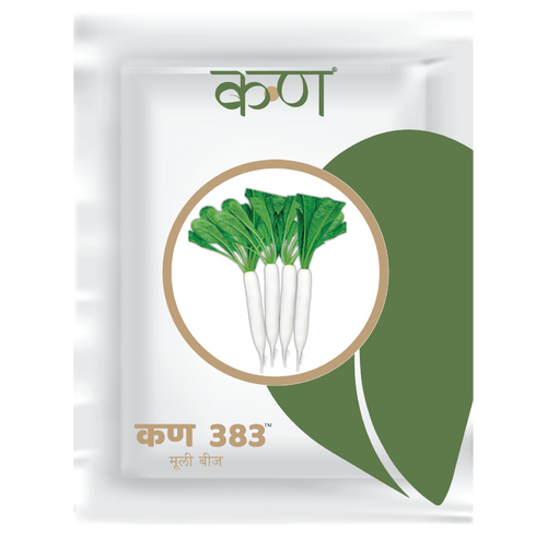 Kern 383 OP Radish